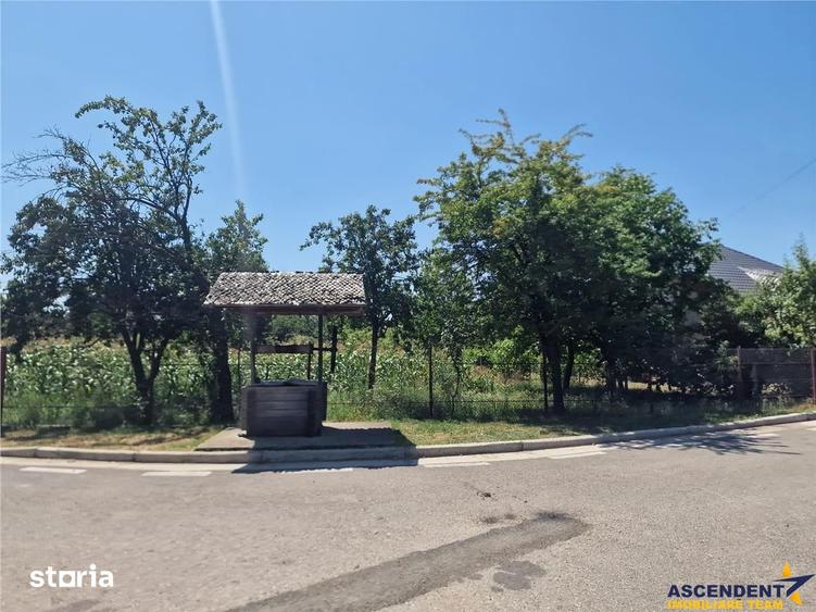 Casa traditionala, cu 2.000mp teren roditor, Izvoarele, Prahova - 9