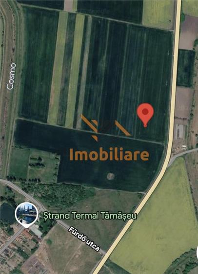 Teren de 28700 mp, în Tămășeu