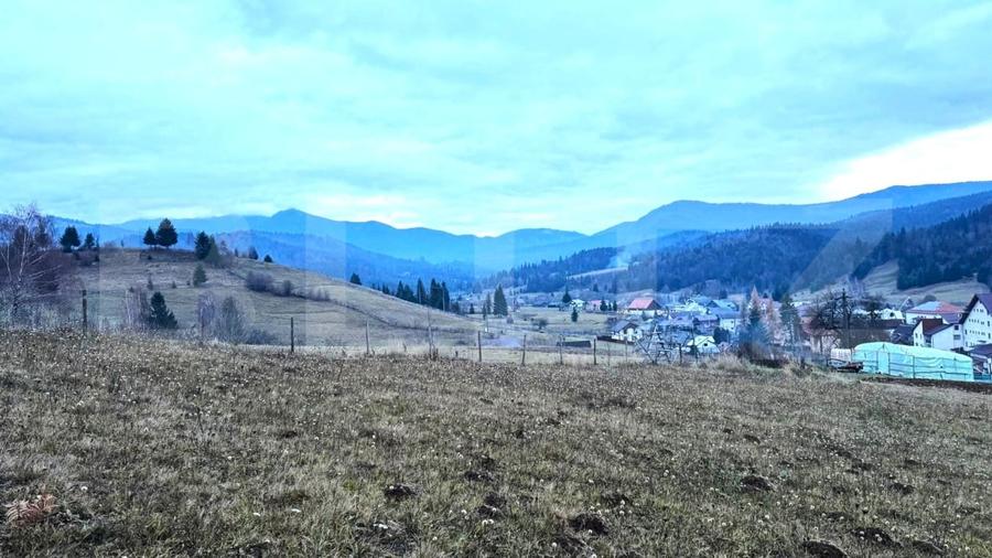 Teren Construcții intravilan de 2500 mp, în Colibița