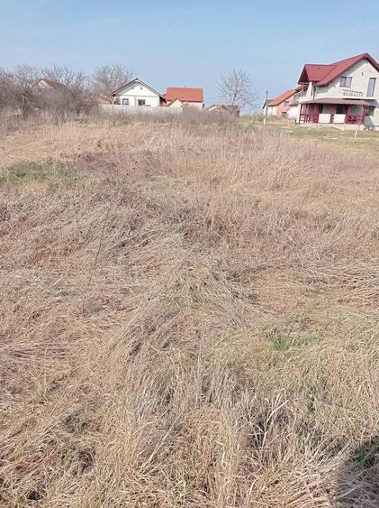 Teren de 1372 mp, în Săcălaz