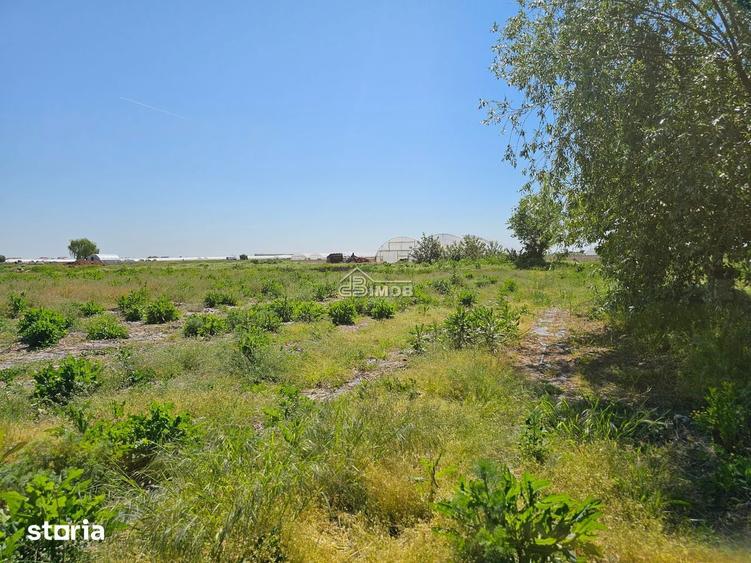 Teren de 10900 mp, în Băleni