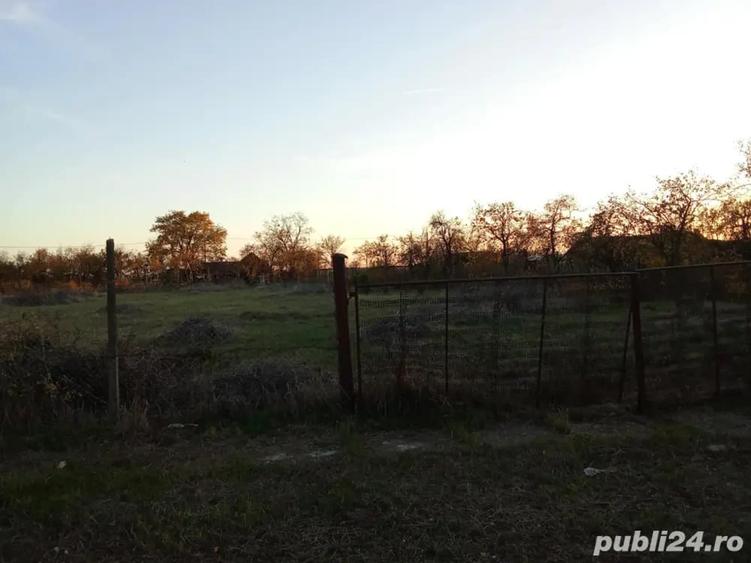 Teren de 1500 mp, în Șagu