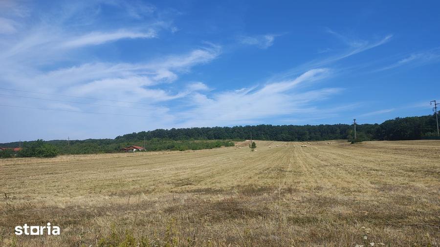 Teren de 70000 mp, în Bârsău