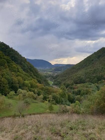 Teren de 8500 mp, în Hărțăgani