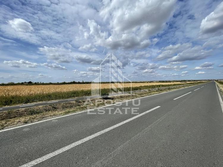 Teren de 55000 mp, în Ianova