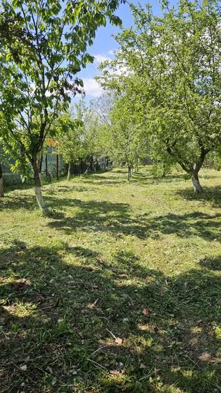 Casă cu 4 camere cu Teren 1300 Mp în Dițești