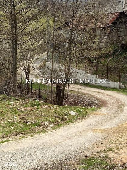Spațiu comercial, în Albota