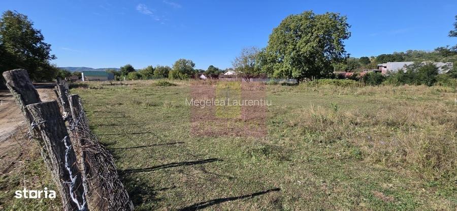 Teren intravilan 3.750 mp de vanzare in Campina