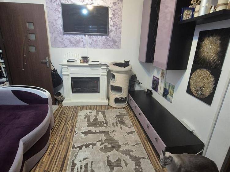 Apartament cu 3 camere semidecomandat, mobilat în Valea Rosie
