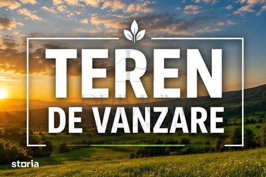 Teren- Sanandrei- Front generos de 18.4 ml - 3