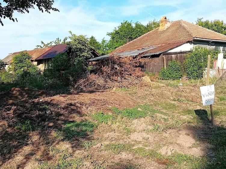Teren de 739 mp, în Boșneagu