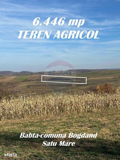 Teren de 12934 mp, în Bogdand