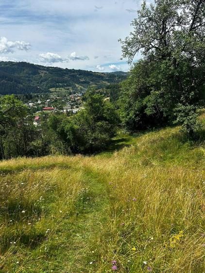 Teren de 5833 mp, în Bistra