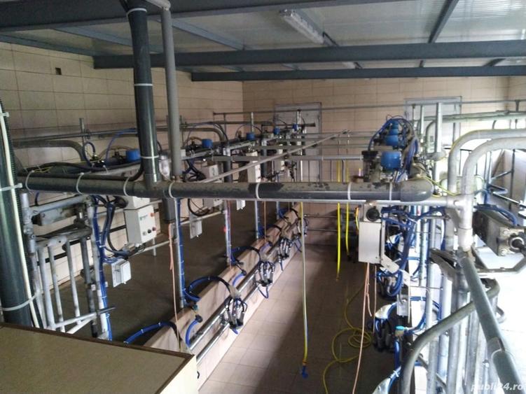 Spațiu comercial, de 1,000 mp, în Izvoru Crișului