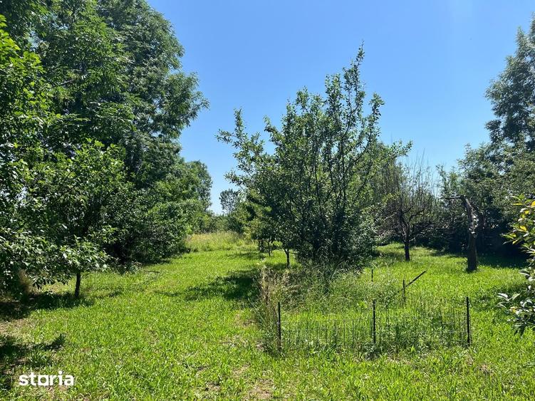 Casă cu 4 camere cu Teren 2317 Mp în Cornu