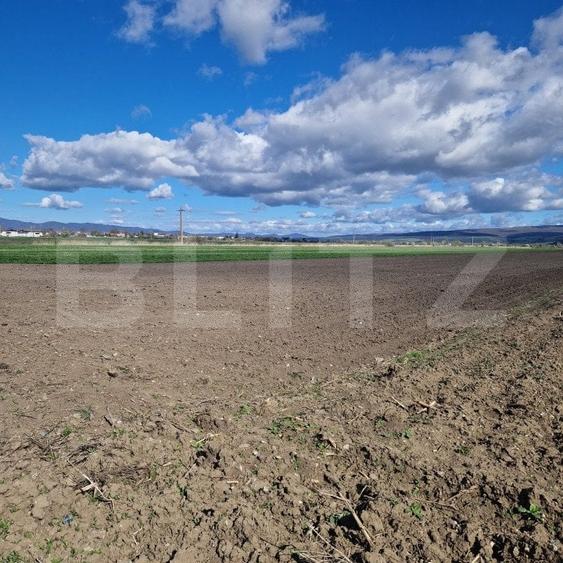 Teren agricol extravilan de 15000 mp, în Bod