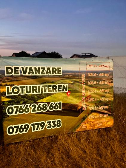 Domnesti Str Teiului 4 loturi de vânzare  teren intravilan  - 1
