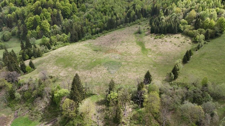 Teren agricol extravilan de 48297 mp, în Sătic