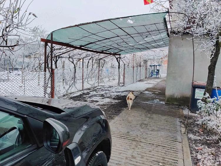 Casă cu Teren 800 Mp în Costi