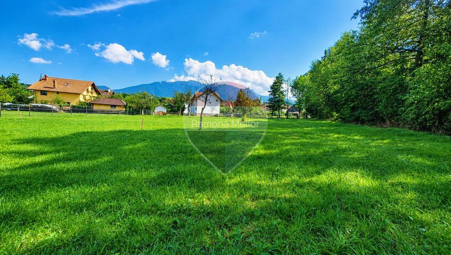 Teren intravilan 2130mp | Predelut, Brașov | La 2km de castelul Bran