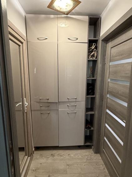 Apartament cu 2 camere semidecomandat în Rovine