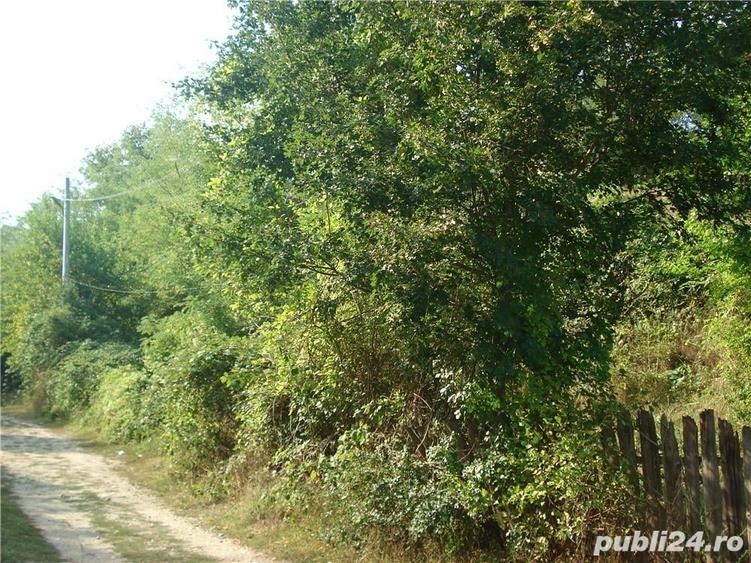 Teren de 1556 mp, în Călimănești