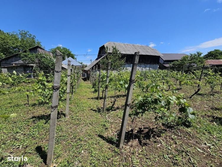 Casă cu 3 camere cu Teren 1330 Mp în Păunești