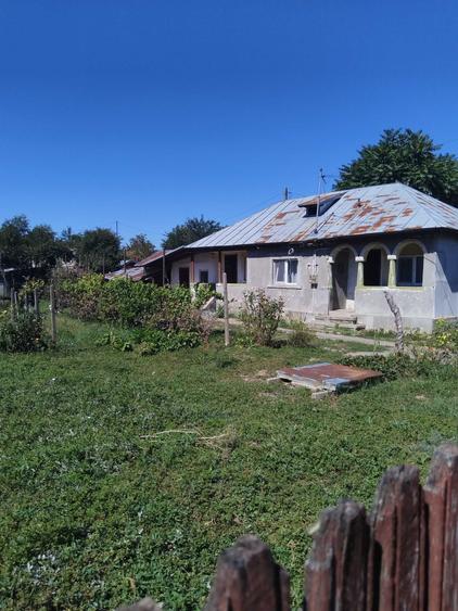 Casă cu 3 camere în Central