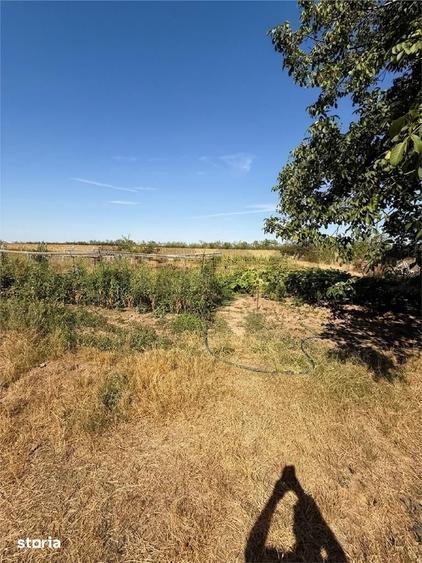 RECO Casa de vanzare in Gepiu, teren 1.439 mp - 11