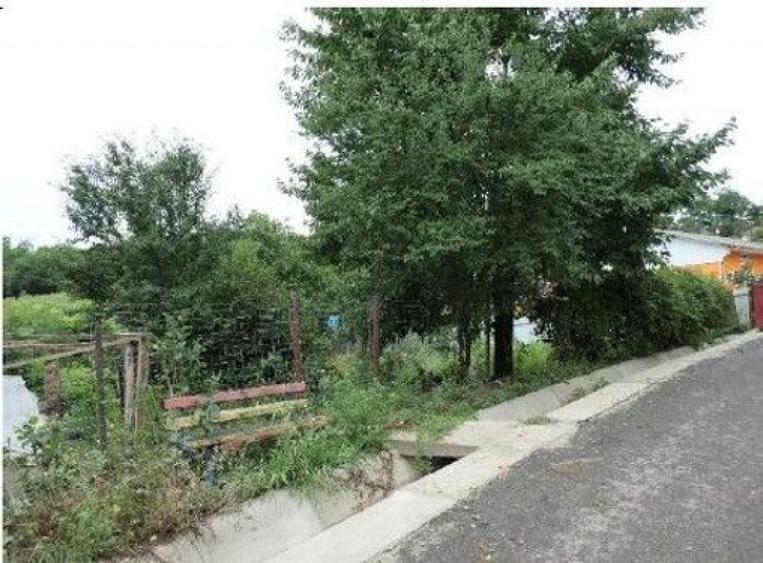 Casa si teren Costinesti, Botosani, ID: R2728052 - 18