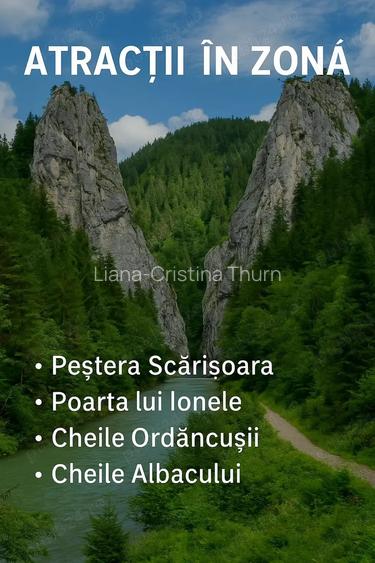 Teren intravilan + padure BONUS, de vanzare in inima muntilor Apuseni, comuna Scarisoara, jud.Alba