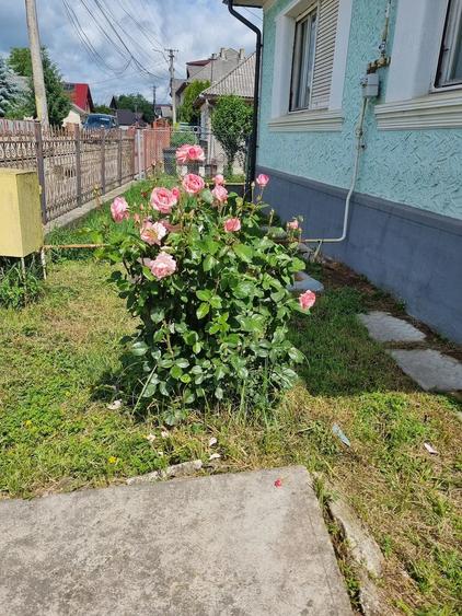 Casă cu 3 camere cu Teren 882 Mp în Central