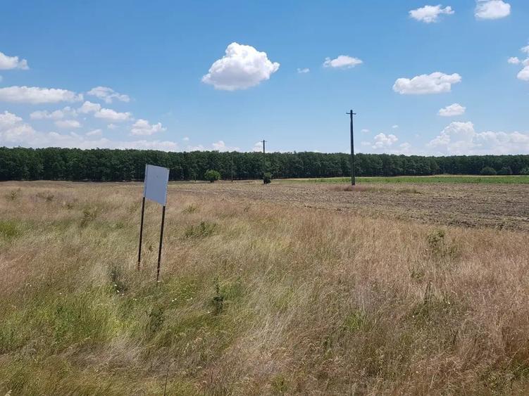 Teren de 609 mp, în Pielești
