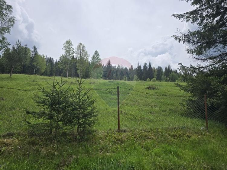 Teren agricol extravilan de 5034 mp, în Iacobeni