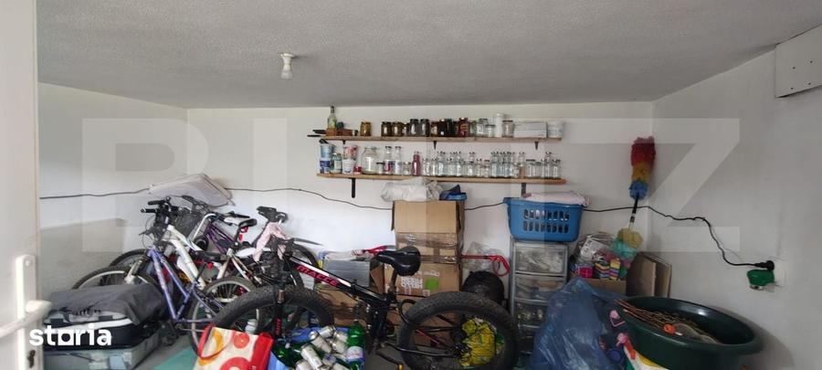 Casă cu 5 camere cu Teren 915 Mp în Viișoara