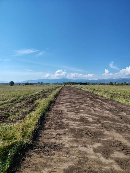 Teren agricol extravilan de 515 mp, în Turnișor