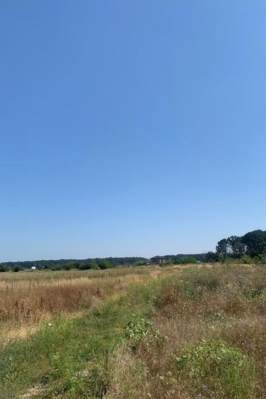 Teren Construcții intravilan de 4250 mp, în Snagov