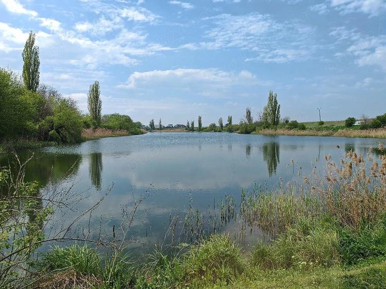 Teren de 580 mp, în Săftica