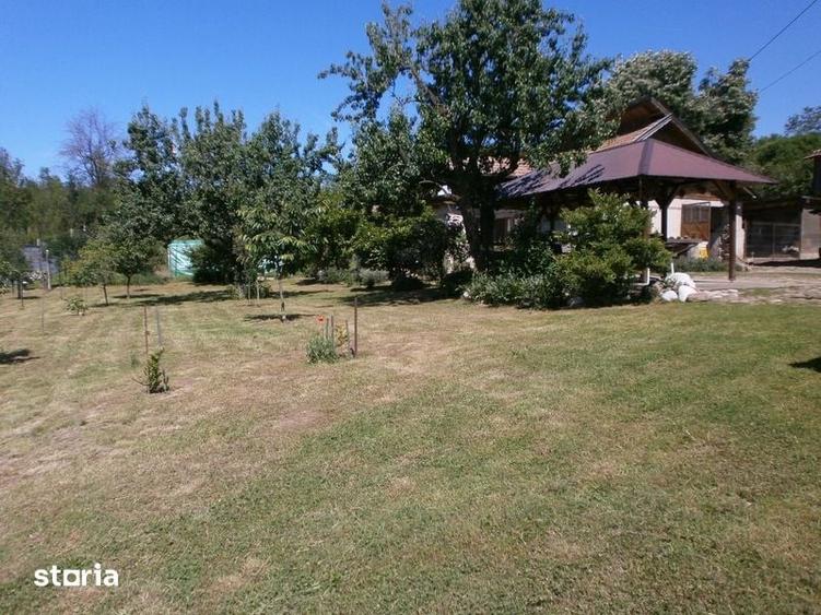 Vand casa cu gradina - 2