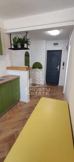 Apartament 2 camere, de vanzare, zona Sagului, Timisoara - 8