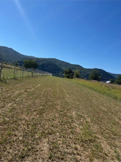 Teren de 1300 mp, în Gornea