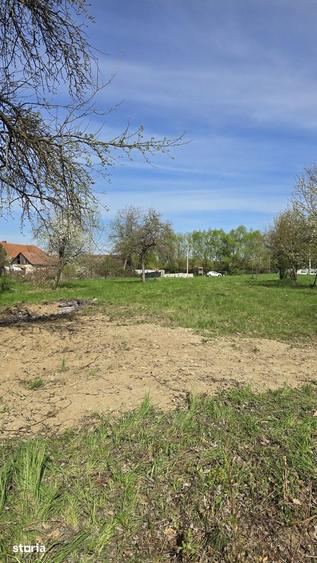 Teren de 1700 mp, în Recea