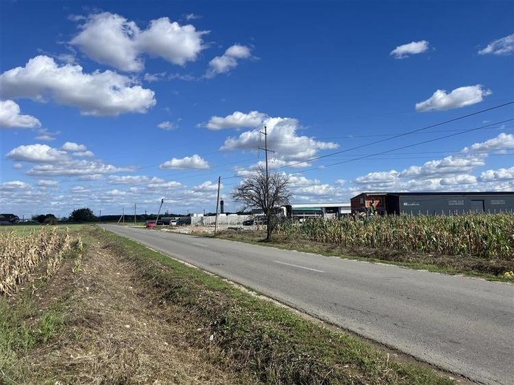 Teren Construcții intravilan de 558 mp, în Livada de Bihor