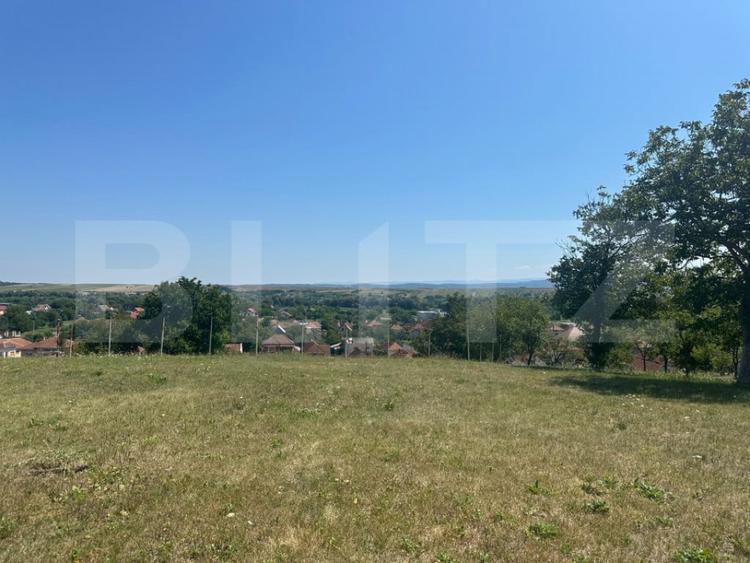 Teren de 1130 mp, în Criș