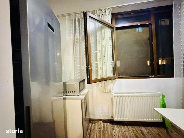Apartament 2 camere mobilat si utilat complet Str Ilie Petre zona lini