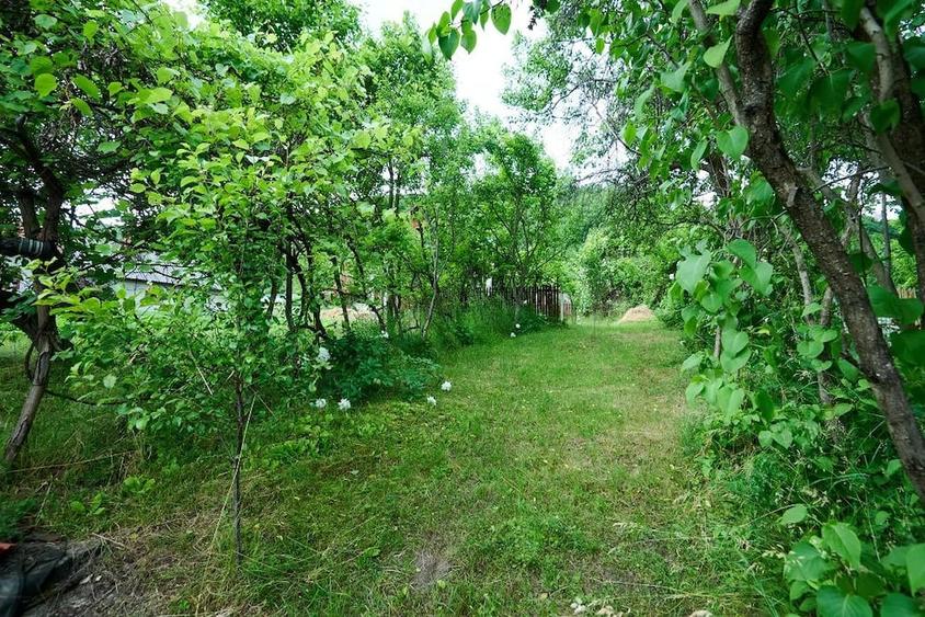 Casă cu 3 camere cu Teren 4696 Mp în Central