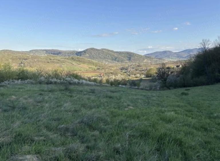 Teren de 4309 mp, în Căinelu de Jos