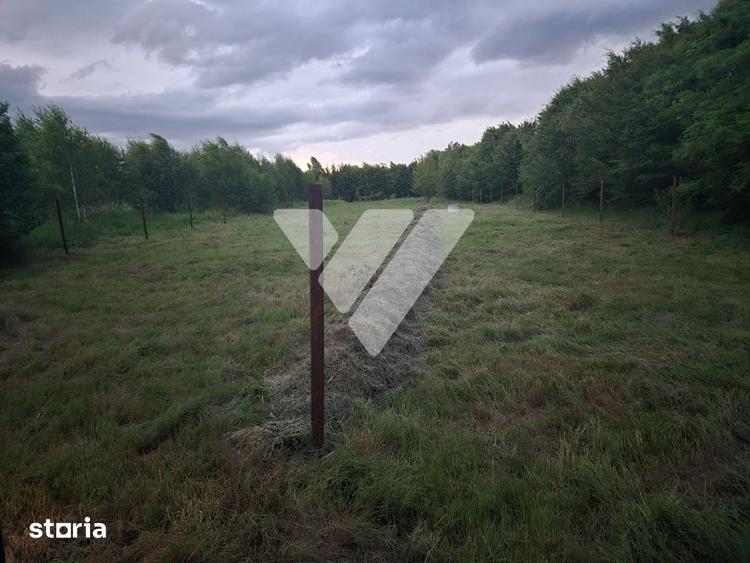 Teren de 2000 mp, în Porumbacu de Jos