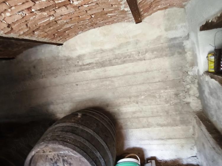 Casă cu Teren 5000 Mp în Apold