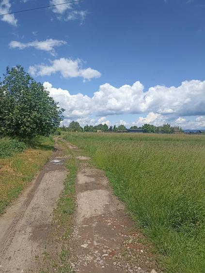 Teren agricol extravilan de 2900 mp, în Periferie